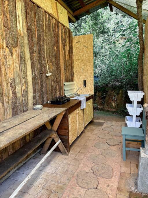 Rest In The Forest, Armadillo Cabin Apartment San Mateo Rio Hondo Exterior photo