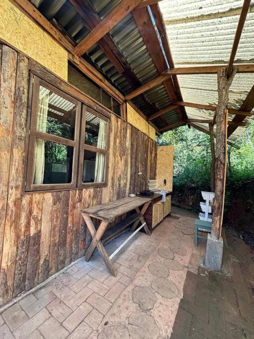 Rest In The Forest, Armadillo Cabin Apartment San Mateo Rio Hondo Exterior photo