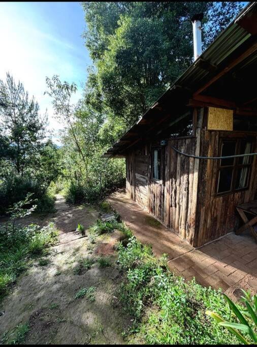 Rest In The Forest, Armadillo Cabin Apartment San Mateo Rio Hondo Exterior photo