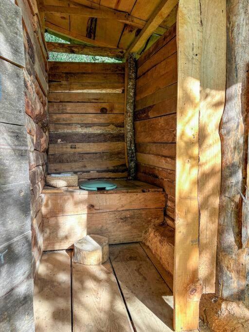 Rest In The Forest, Armadillo Cabin Apartment San Mateo Rio Hondo Exterior photo