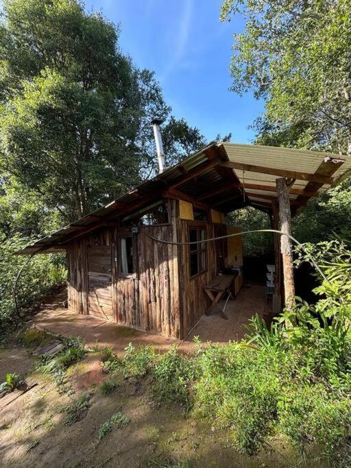 Rest In The Forest, Armadillo Cabin Apartment San Mateo Rio Hondo Exterior photo